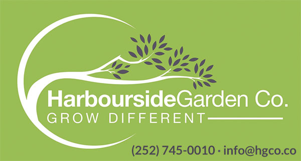 Croaker Festival 2024 Silver Sponsor Boonedocks Marina & Guesthouse